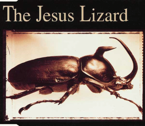 The Jesus Lizard : Thumper